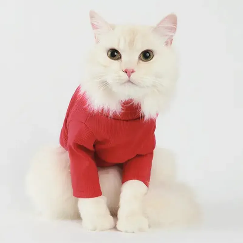 Stylish Red Turtleneck for Cozy & Confident Pets